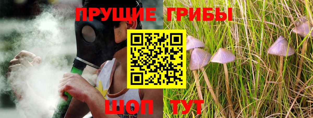 Копейск  закладка  Вход с VPN  Псилоцибиновые грибы Psilocybine cubensis 